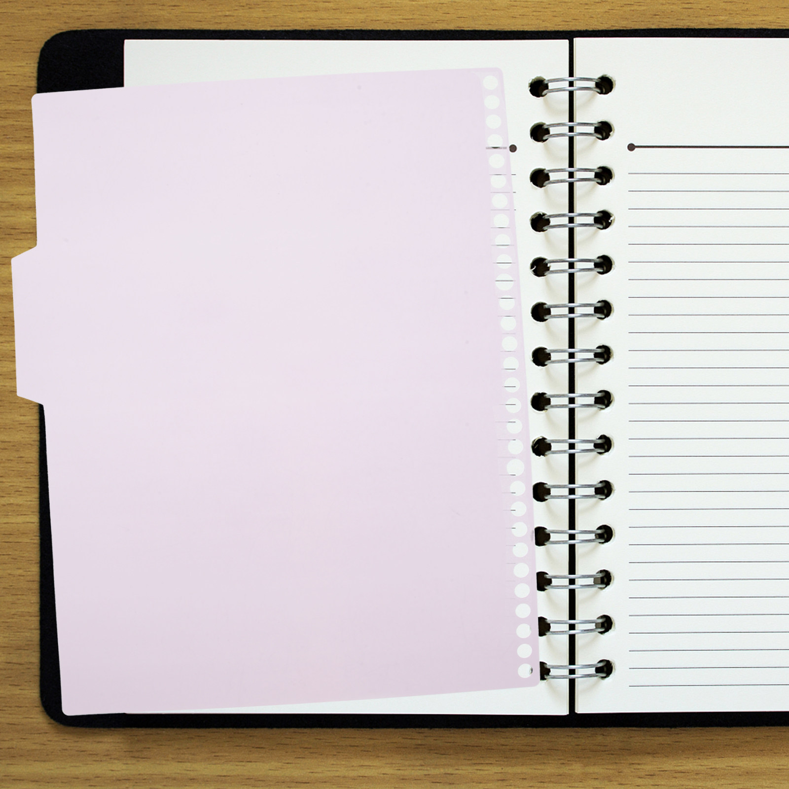 6 مجموعات من فواصل الملفات الم - مراجعة Tab Divider A4 وسعره